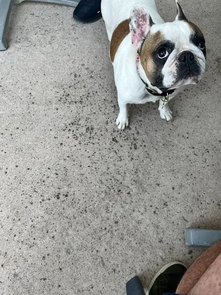 Cristina Ruiz_La Brasserie du Port_Valras-Plage_avis