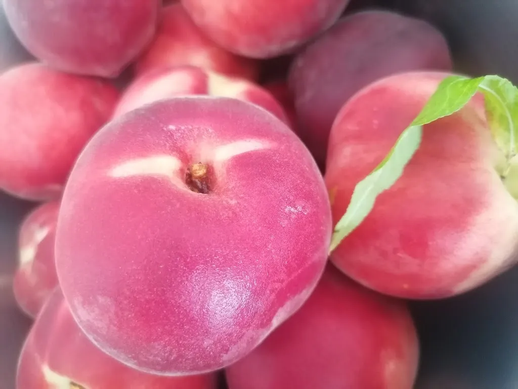 Menu_LA TABLE DES AMIS_Vernet-les-Bains_immagine_7