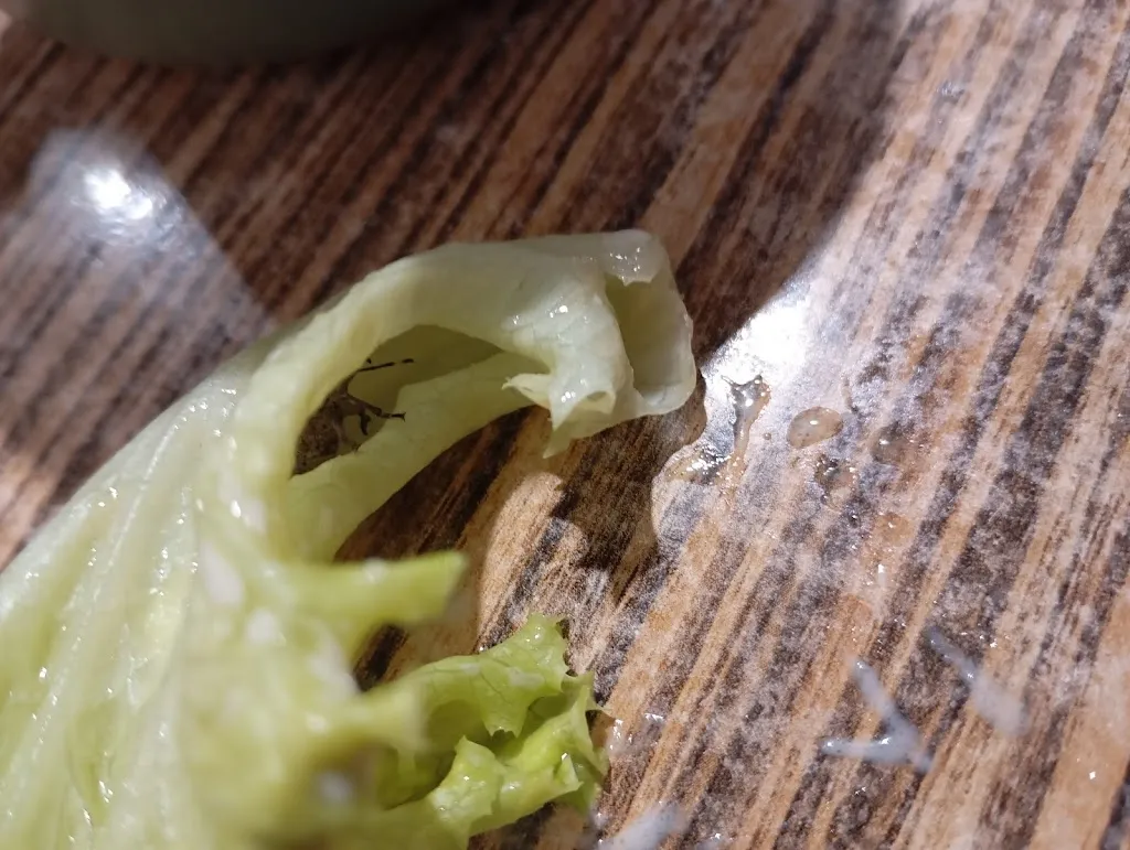 John Pellier_La Table de Lyse_Meyzieu_review