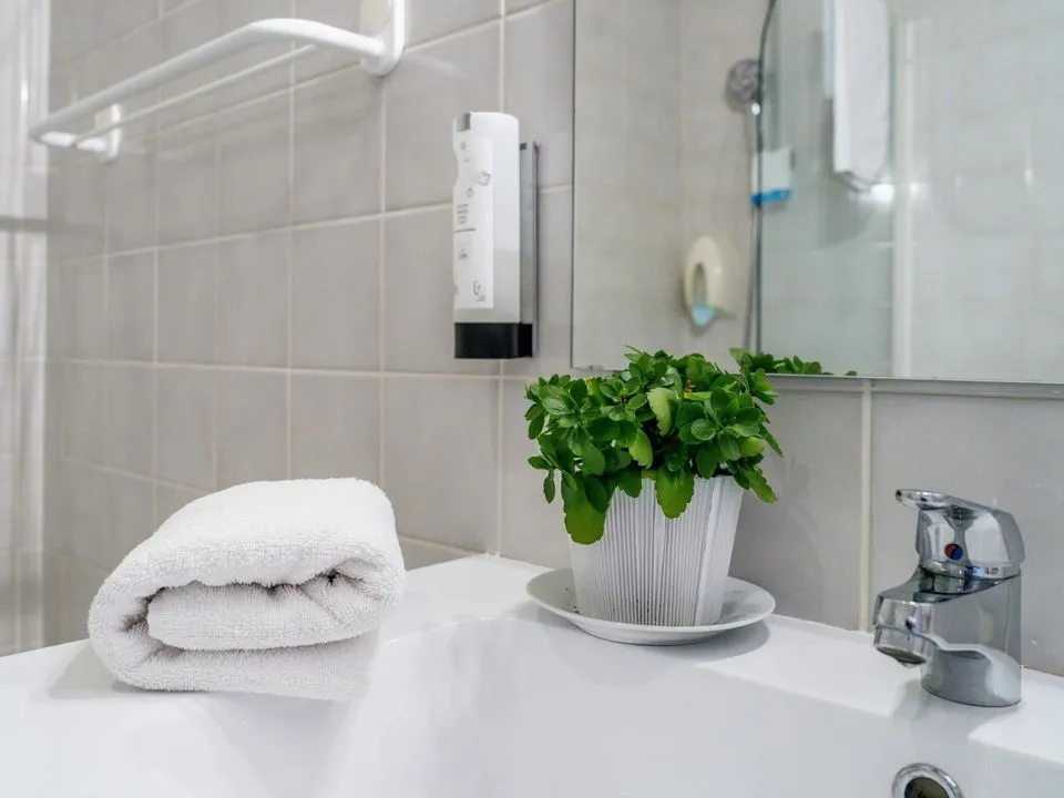 Logis Hôtel l'Hôtellerie la Cuisinerie le Réverbère_Vic-en-Bigorre_slider_image_2