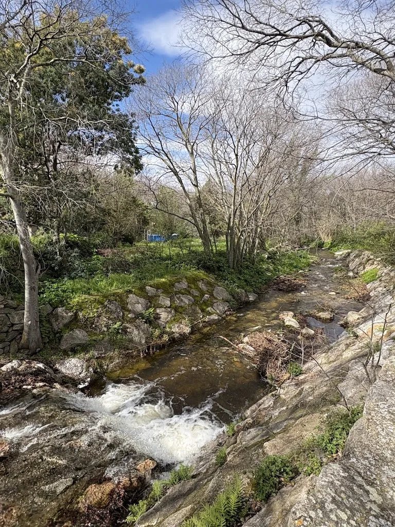 Nathalie V_Bodega Le 66_Villelongue-dels-Monts_review