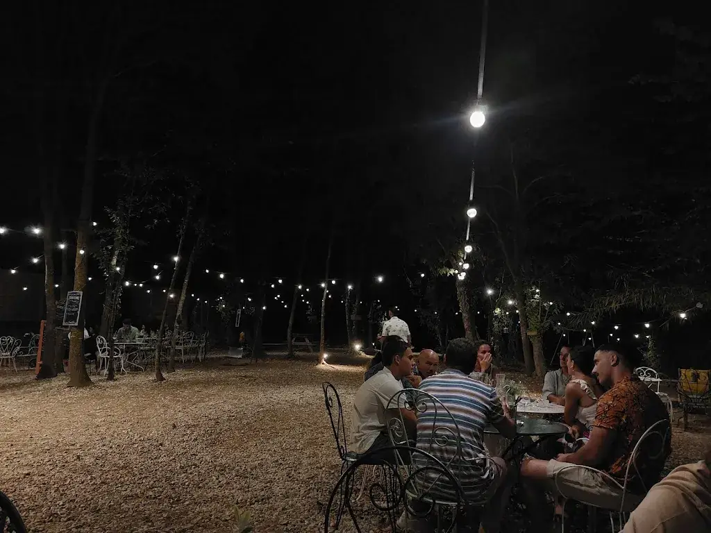 Elisa Baetens_La guinguette de Louis_Villelongue-de-la-Salanque_review