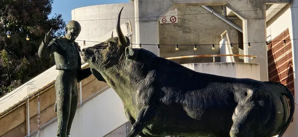 Café des Arènes_Vic-Fezensac_slider_image_1