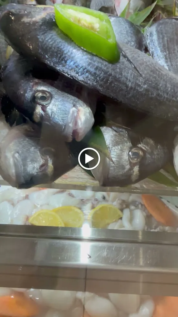 Dar zeman.(Sidi bousaid)_Meyzieu_slider_image_2