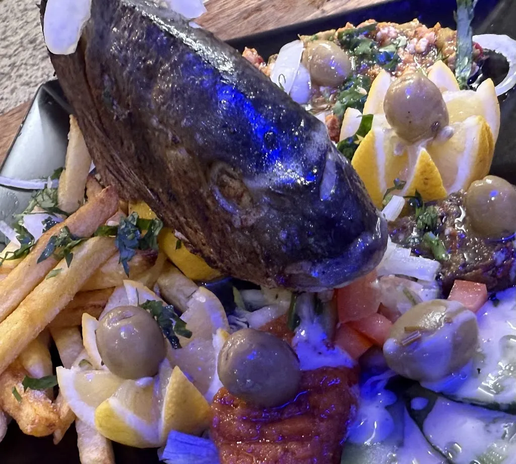 Dar zeman.(Sidi bousaid)_Meyzieu_slider_image_3