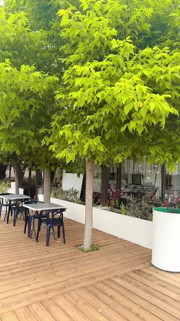 Le Cherimoya Restaurant_Villeneuve-de-Rivière_slider_image_2