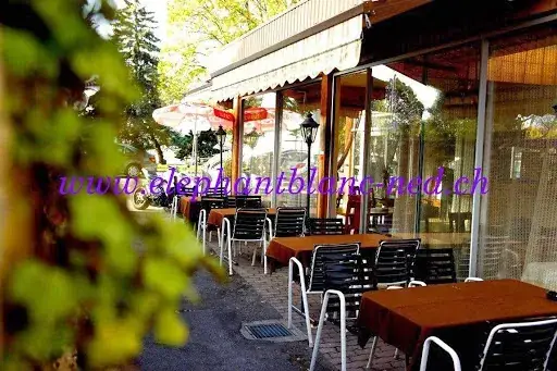 L'Éléphant Blanc_Villeneuve_slider_image_1