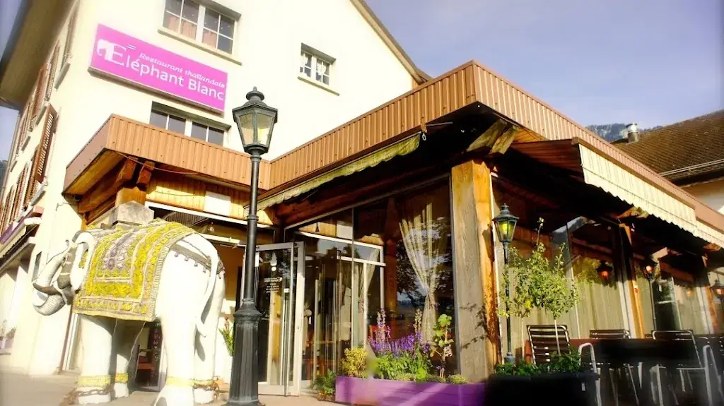 L'Éléphant Blanc_Villeneuve_slider_image_3