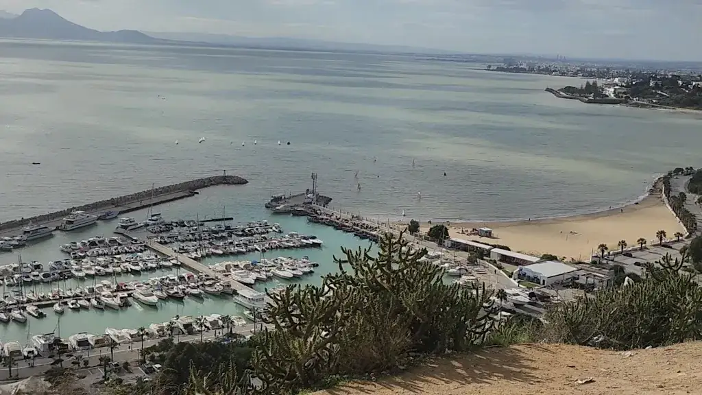 Rasa Thileepan_SIDI BOU SAID_Meyzieu_review