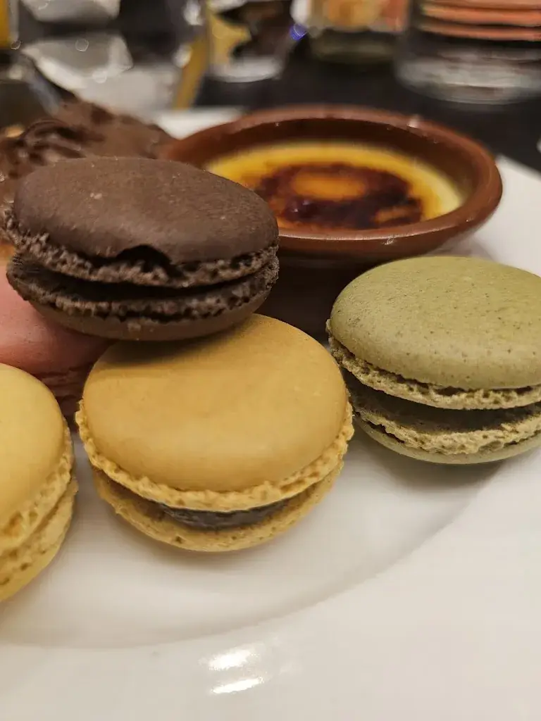 Małgorzata Łojko (Maggie)_Table D'oc_Villeneuve-lès-Maguelone_review