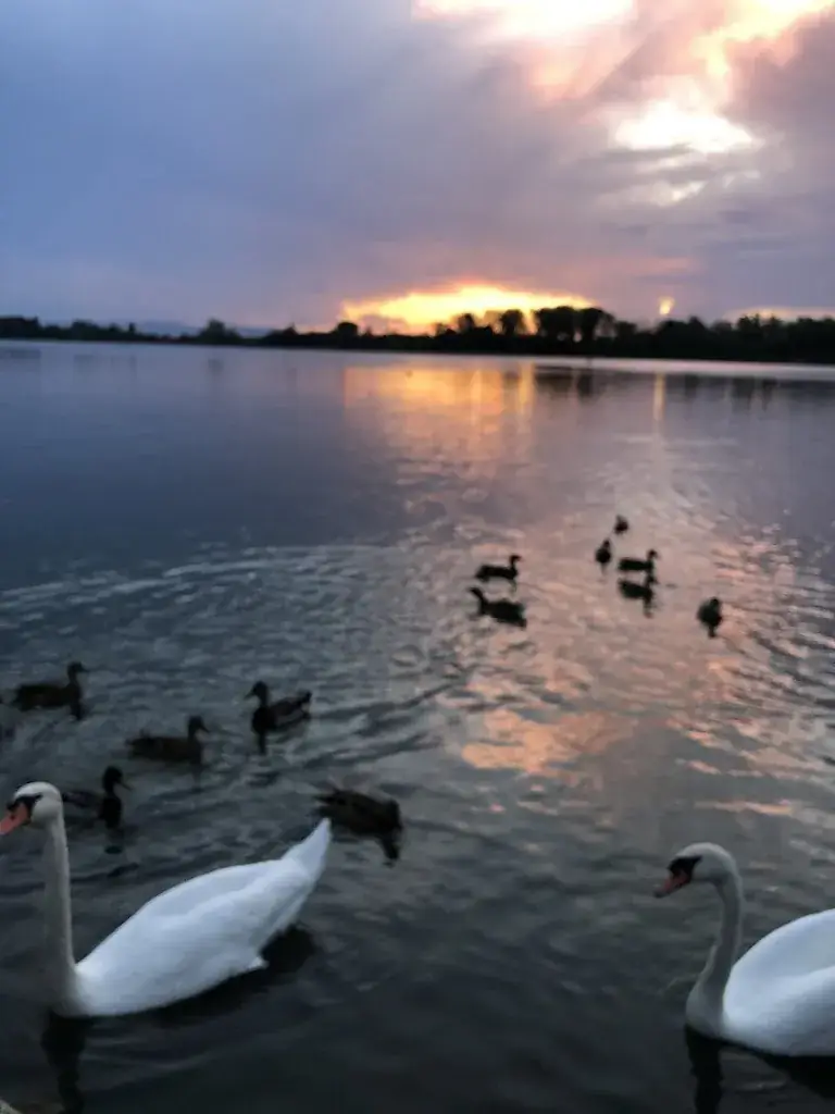 Talal Khaled_Les Voiles Du Grand Large_Meyzieu_review