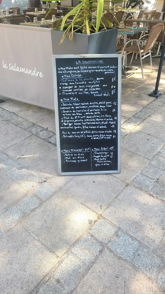 Menu_La Salamandre_Villeneuve-lès-Avignon_immagine_4