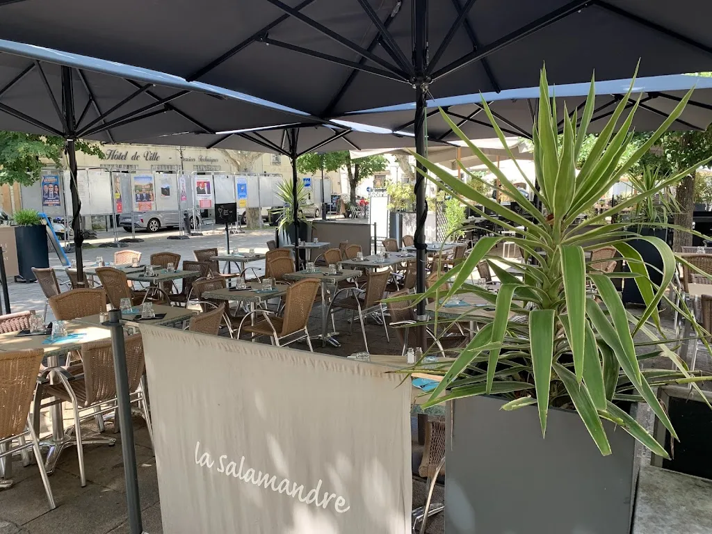 La Salamandre Restaurant in Villeneuve-lès-Avignon