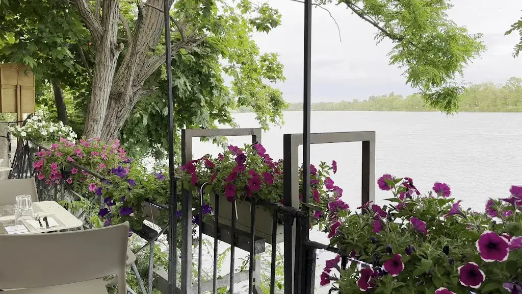 La Guinguette Du Vieux Moulin - Restaurant Villeneuve-Lès-Avignon_Villeneuve-lès-Avignon_slider_image_2