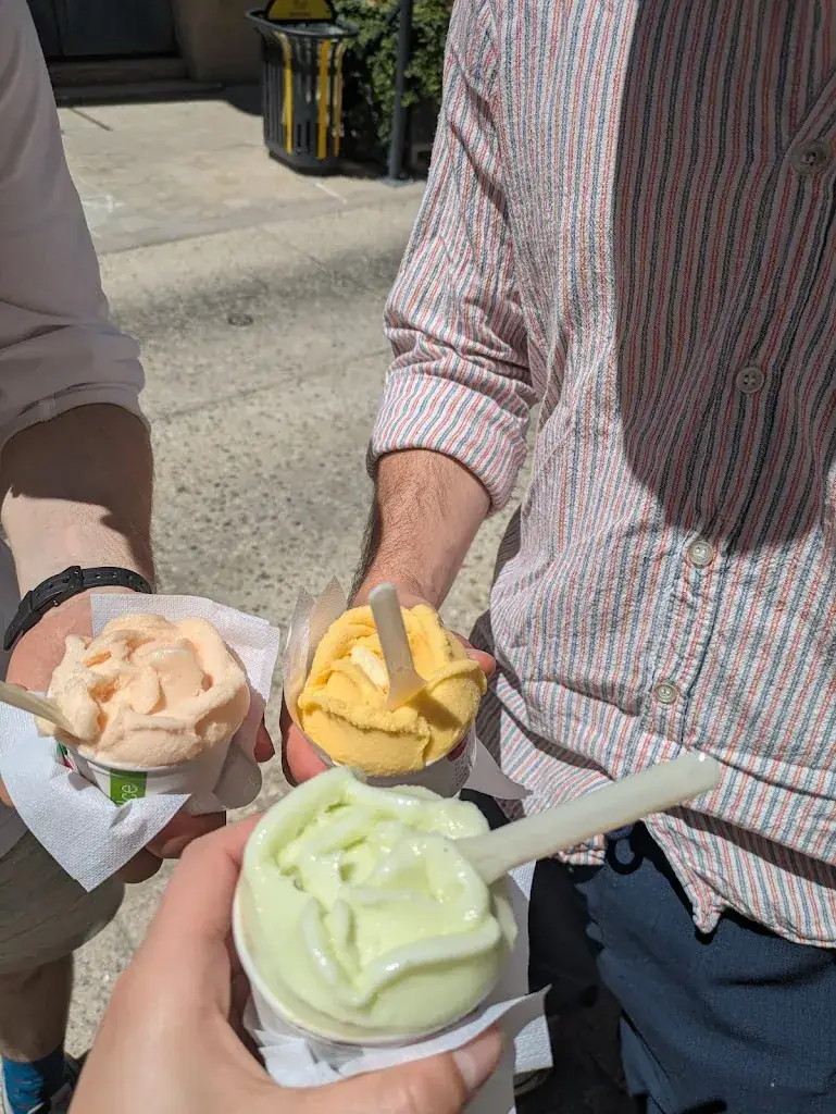Lydia Pike_Gelateria de Mamio_Villeneuve-lès-Avignon_review