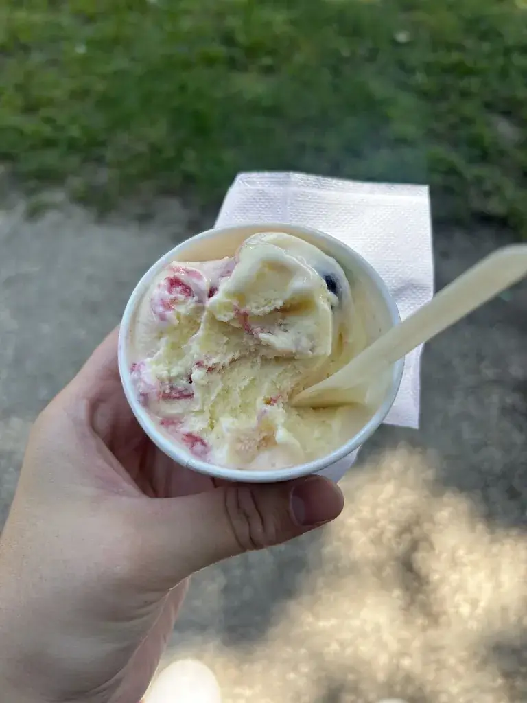 Melanie Basinger_Gelateria de Mamio_Villeneuve-lès-Avignon_review