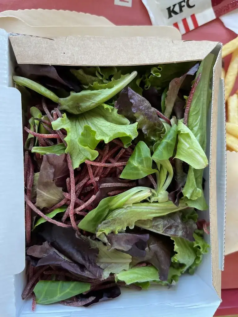 Menu_KFC Villepinte_Villepinte_image_7