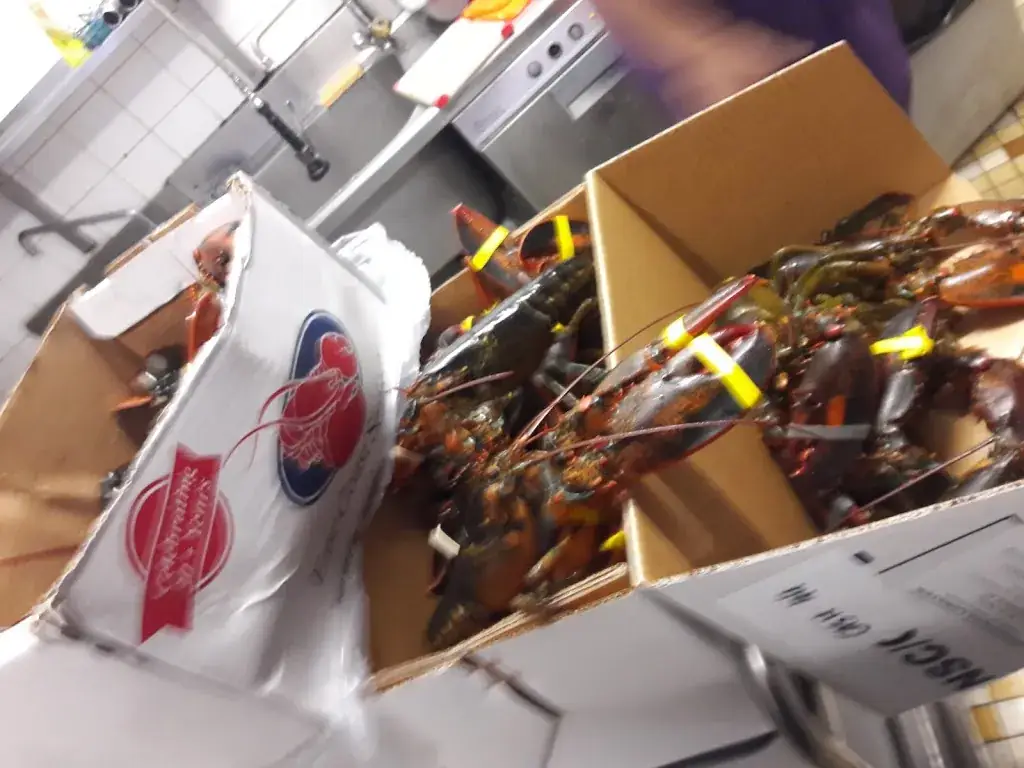 Menu_O'daguenais_Loire-Authion_immagine_5