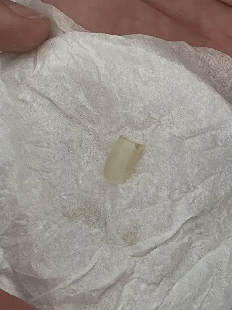 csgr_Le Fournil d'Anetz_Vair-sur-Loire_review