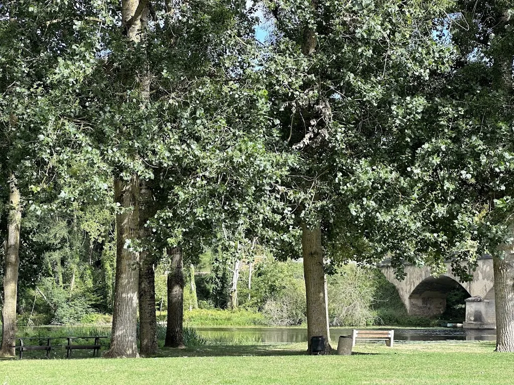 Rose Sheriff_Les Petites Sardines_Antigny_review