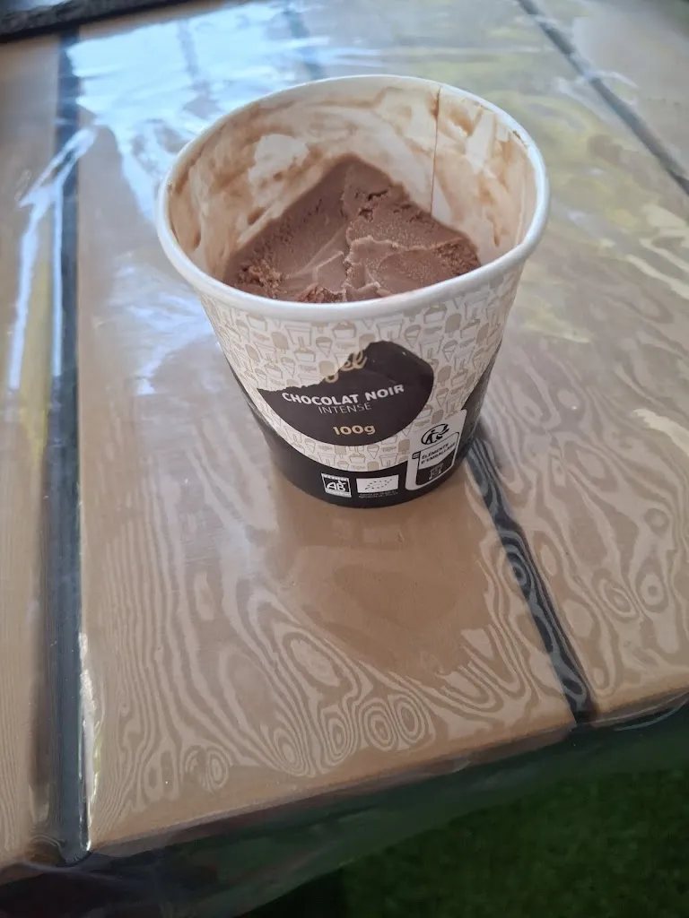 michel m_Mademoiselle Fayel_Argentré-du-Plessis_review