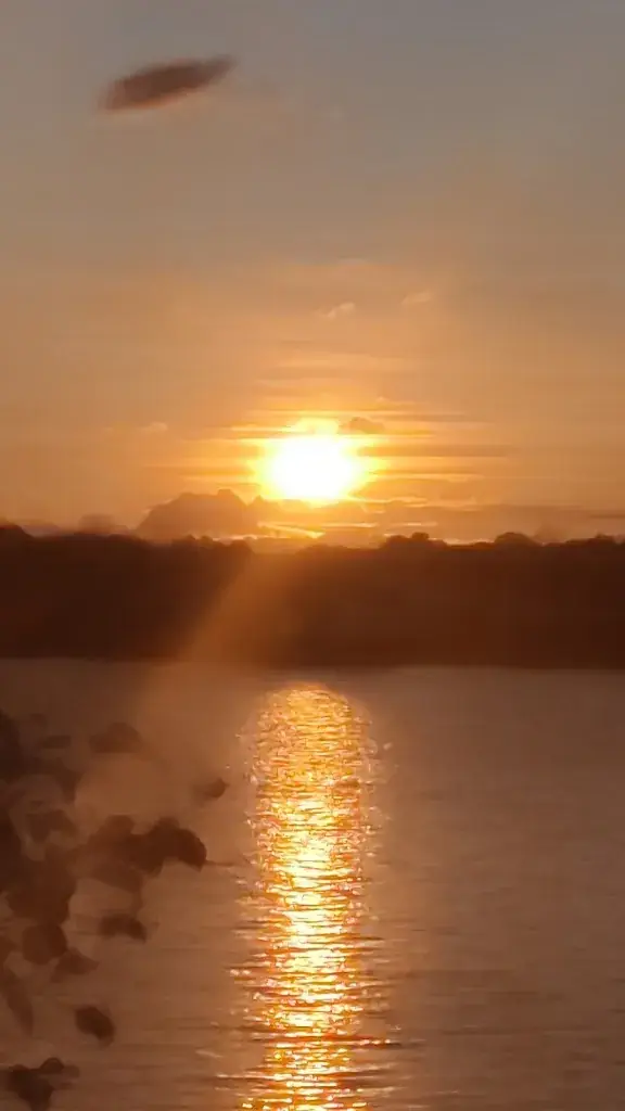 Vincent Rocher_Guinguette de la Gémerie_Arnage_review