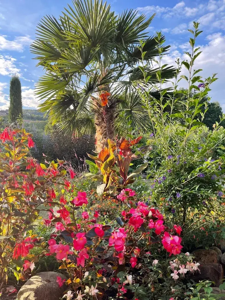 Caroline Nau_Resto de la piscine_Moudon_recensione