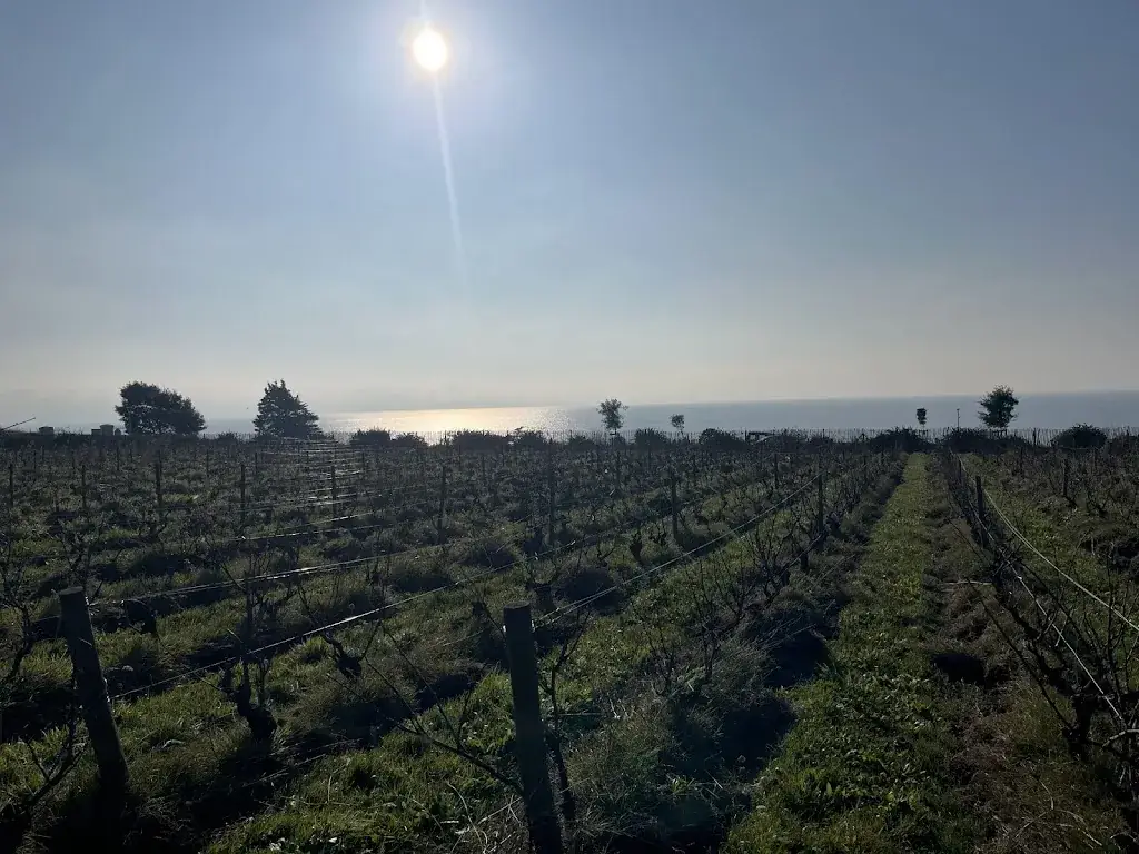 Scott Jeffers_Restaurant de l'Éco-Domaine La Fontaine | Pornic_Pornic_review