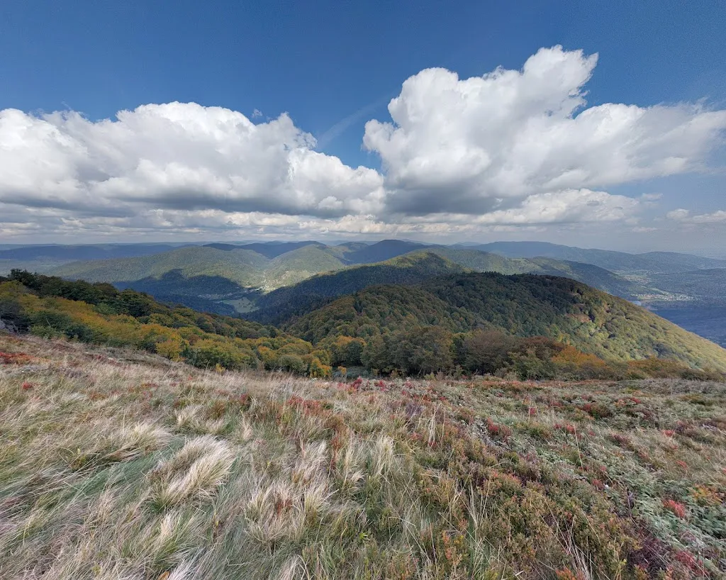 Paul-Adrien Mathon_Ballon d'Alsace_Lepuix_Bewertung