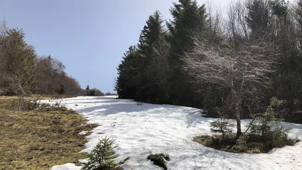 HaydahMan Dutzenfid_Ballon d'Alsace_Lepuix_Bewertung
