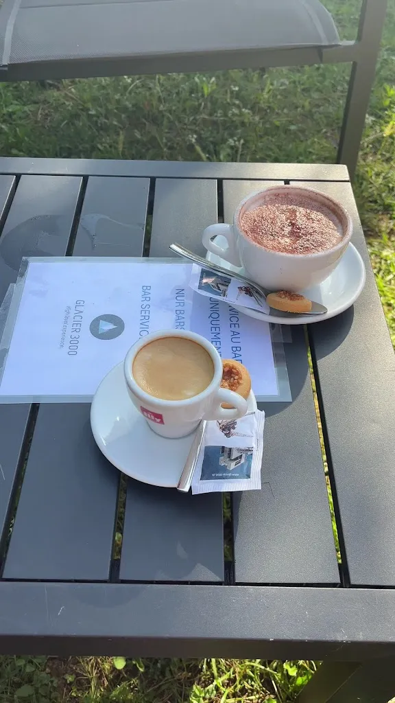 Angela_Restaurant Col du Pillon_Diablerets_review