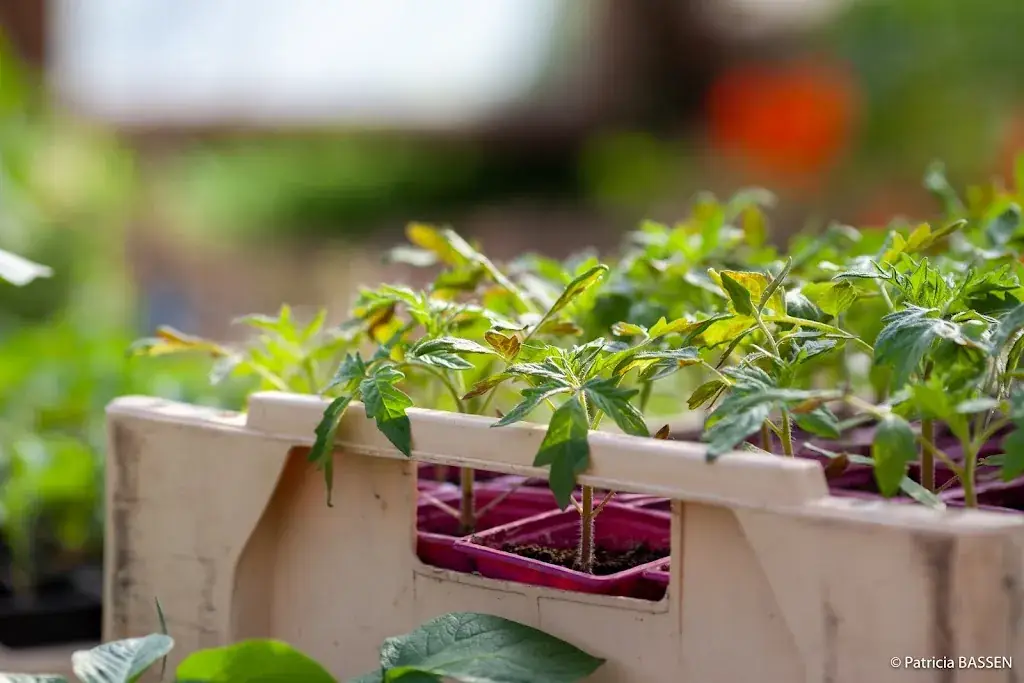 Les jardins du bois Jahan_Divatte-sur-Loire_slider_image_2
