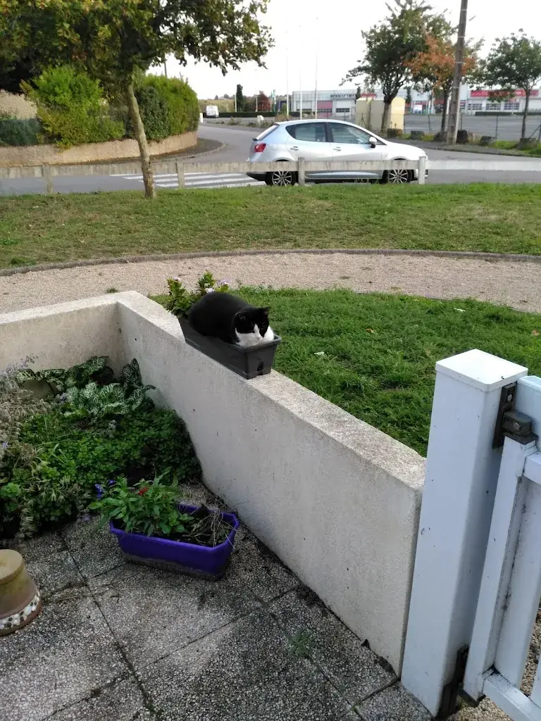 Le Relax_44450_slider_image_3