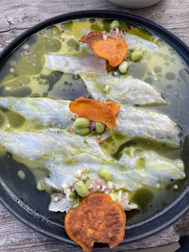 Tom Zingst_Coco_Batz-sur-Mer_review