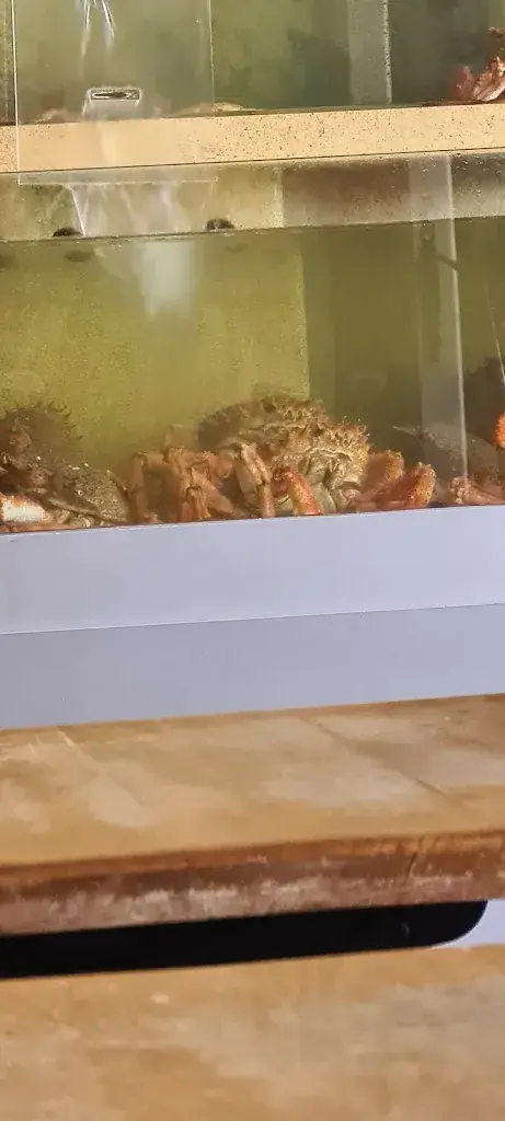 Menu_Le Bistrot de la Poissonnerie_Croisic_image_7