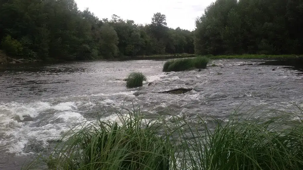 Francisco Ortega_Le Chalet_Martres-de-Veyre_review