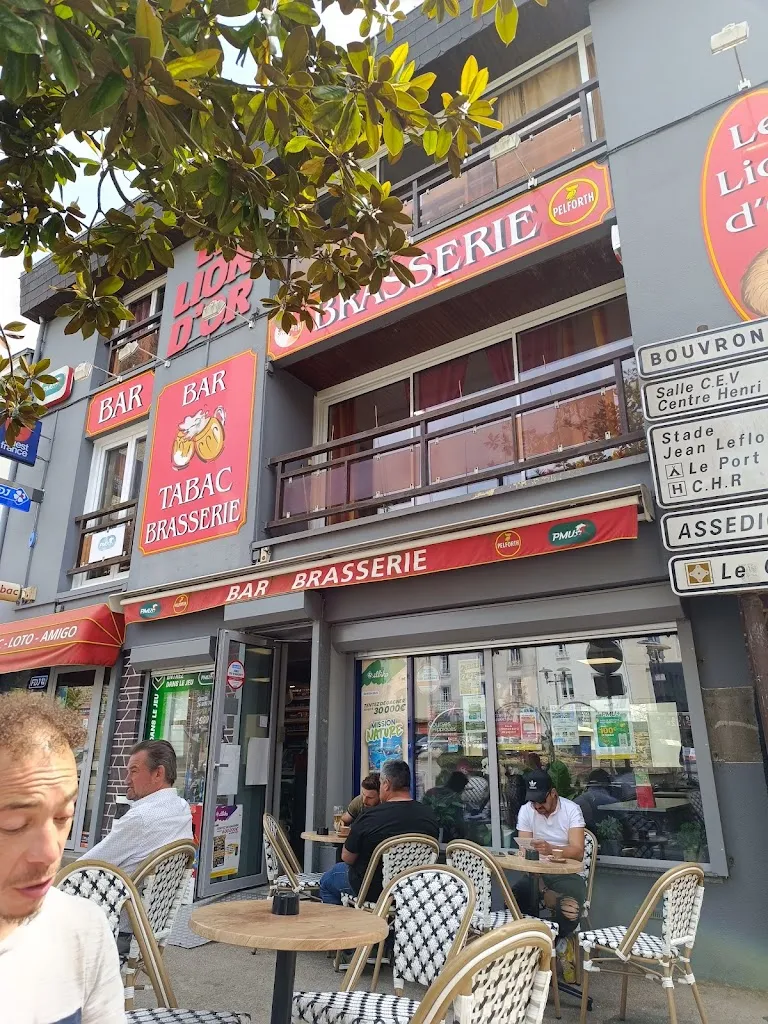 Le lion d'or_Blain_slider_image_2