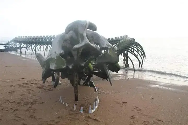 Le Bosceen_Bouaye_slider_image_3