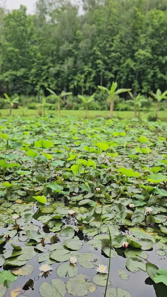 Candice_Domaine de La Bretonnière_Montaigu-Vendée_review