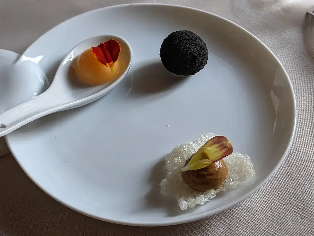 Lilia Amaro_La Robe_Montaigu_review