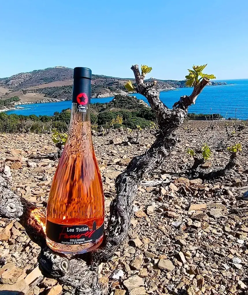 Les Belles Caves_Bellevigne-les-Châteaux_slider_image_3