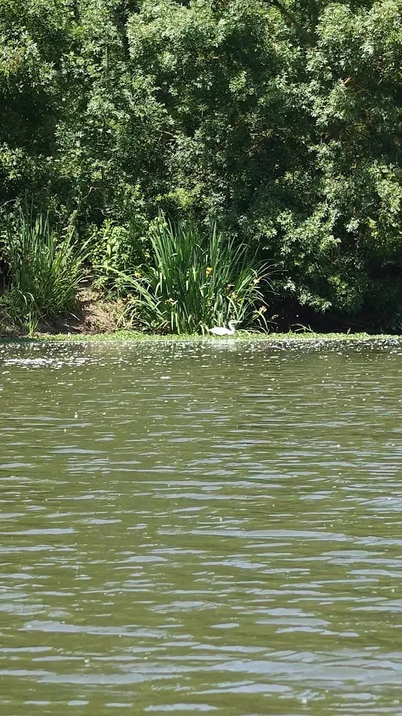 James Wilkinson_ChezNini - La Guinguette_Cheffes_review