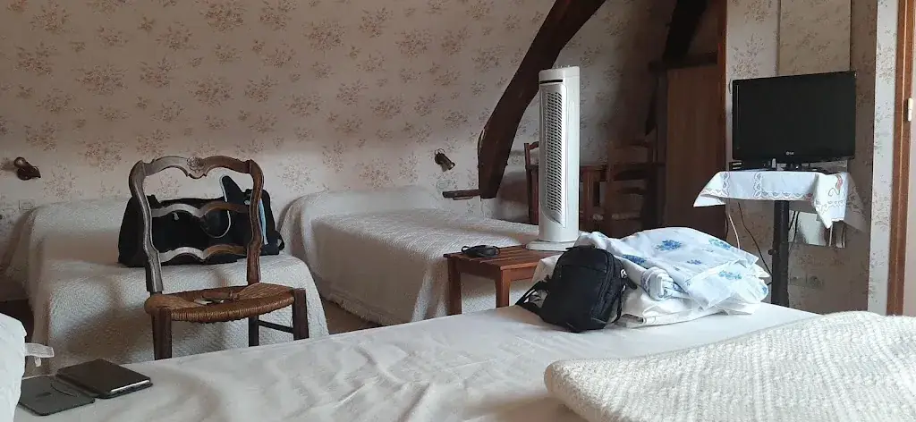 Monsieur Beths_Auberge Au Relais Du Plessis Bourré_Soulaire-et-Bourg_review