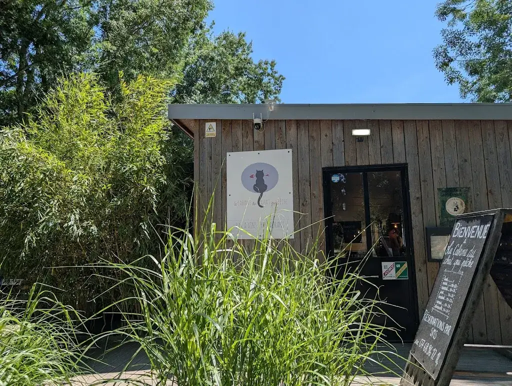 stéphane le gall_La cabane du chat qui pêche_Cantenay-Épinard_review