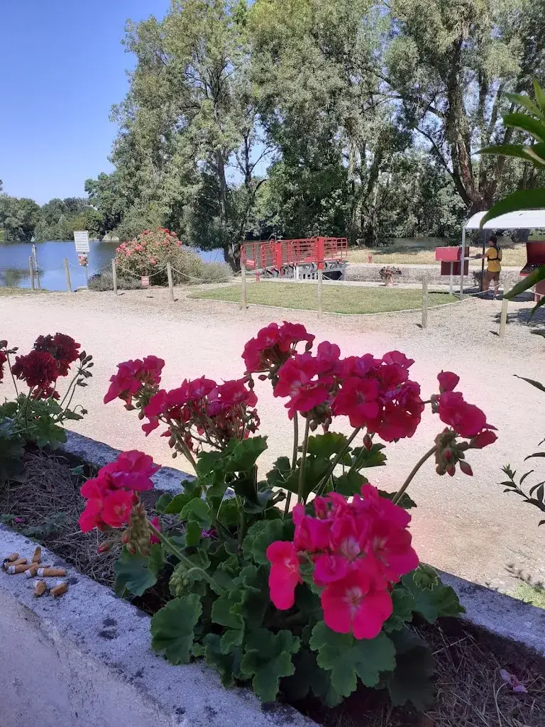 sylvie Zalivi_Le Port d'Attache_Montreuil-Juigné_review