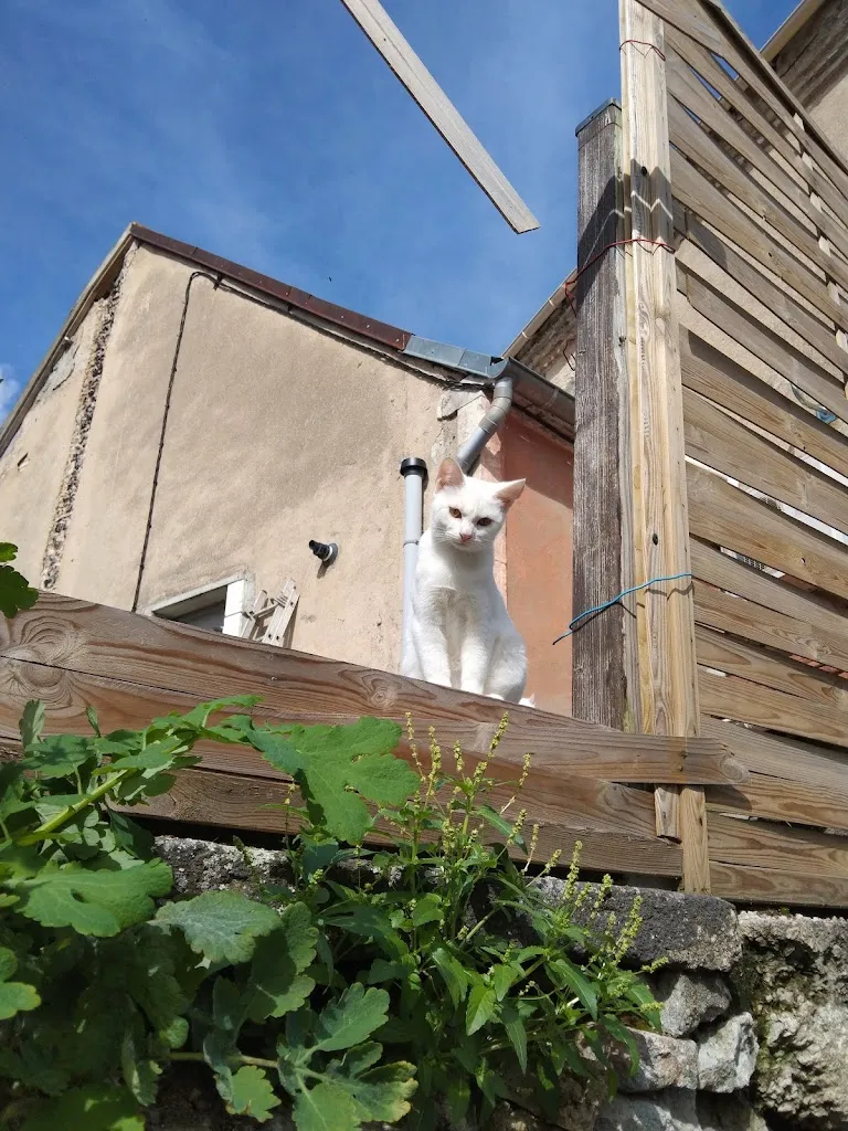 Bar Restaurant De La Poste_Montaigut-en-Combraille_slider_image_3