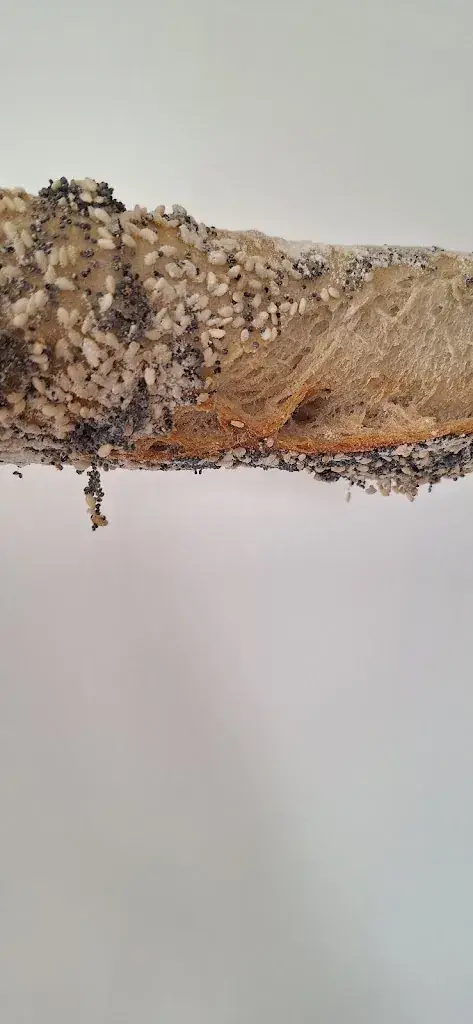 benjamin gaillard_L' AMI DU PAIN, Chaillé-les-Marais_Chaillé-les-Marais_Bewertung