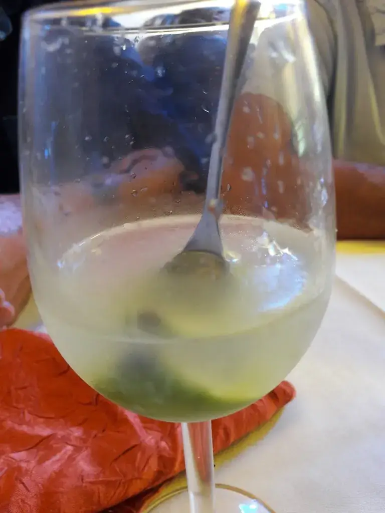 Menu_Le Dauphin_Montaigut-en-Combraille_image_9