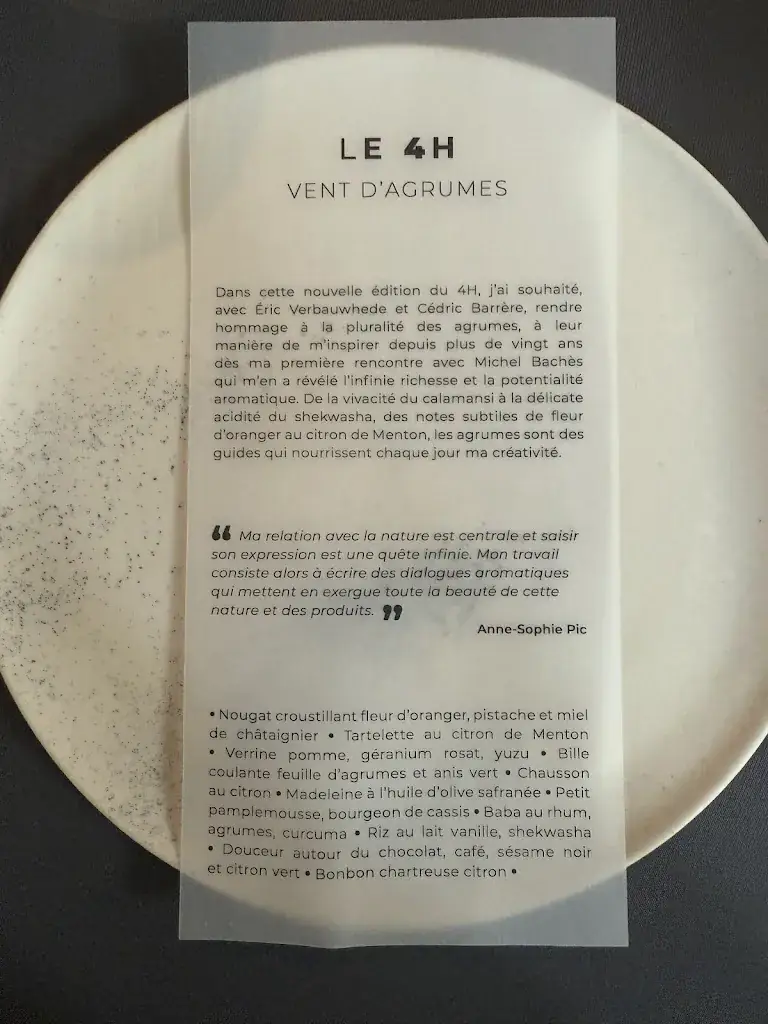 Eliza Fara_Maison Pic_Valence_recensione