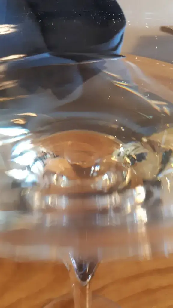 Menu_Auberge de la Loire_Mauges-sur-Loire_immagine_9